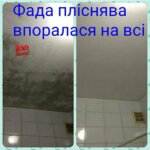 Фада Антипліснява
