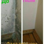Фада Антипліснява